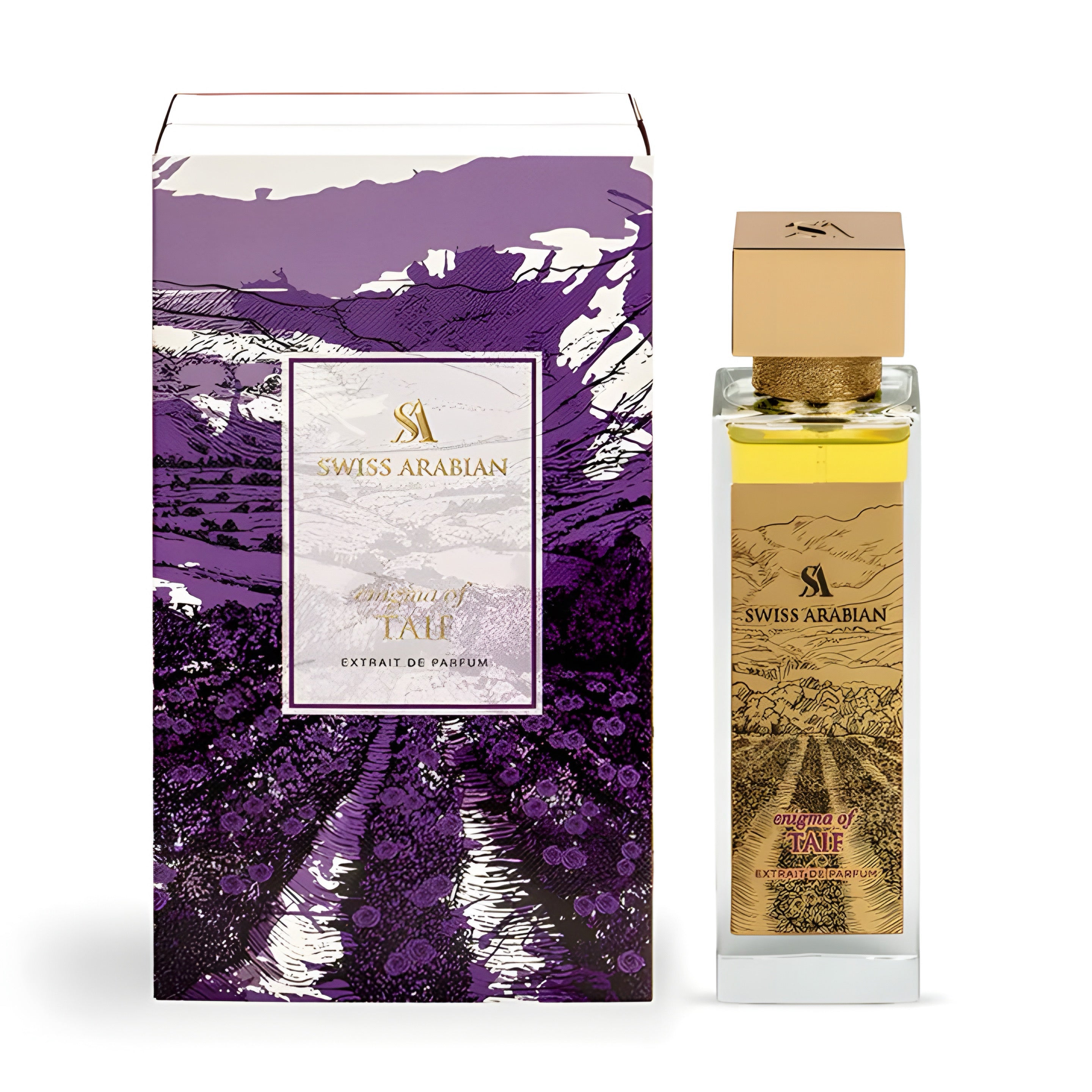 Enigma of Taif